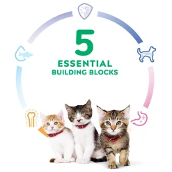 Ocean Fish & Brown Rice Recipe Kitten Cat Food