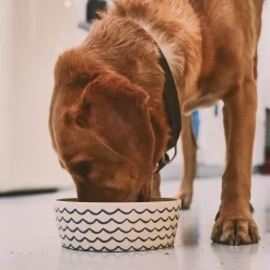 Ocean Waves Printed Feeding & Water Bowl