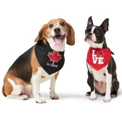Oh Canada Love Dog Bandana