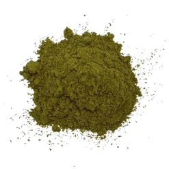 Olive Leaf+ Yeast Support Pet Supplement