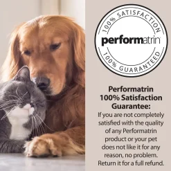 Oral Care Chicken & Rice Formula Adult Cat Food