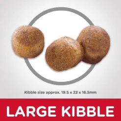 Oral Care Chicken, Rice & Barley Recipe Adult Dog Food