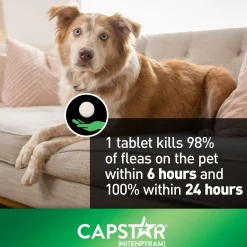 Oral Flea Medium & Large Dog Treatment