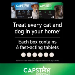 Oral Flea Medium & Large Dog Treatment