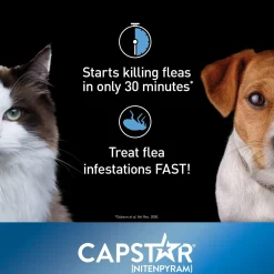 Oral Flea Small Dog & Cat Treatment