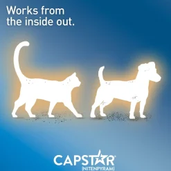 Oral Flea Small Dog & Cat Treatment