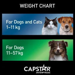 Oral Flea Small Dog & Cat Treatment