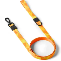 Orange Geometric Dog Leash