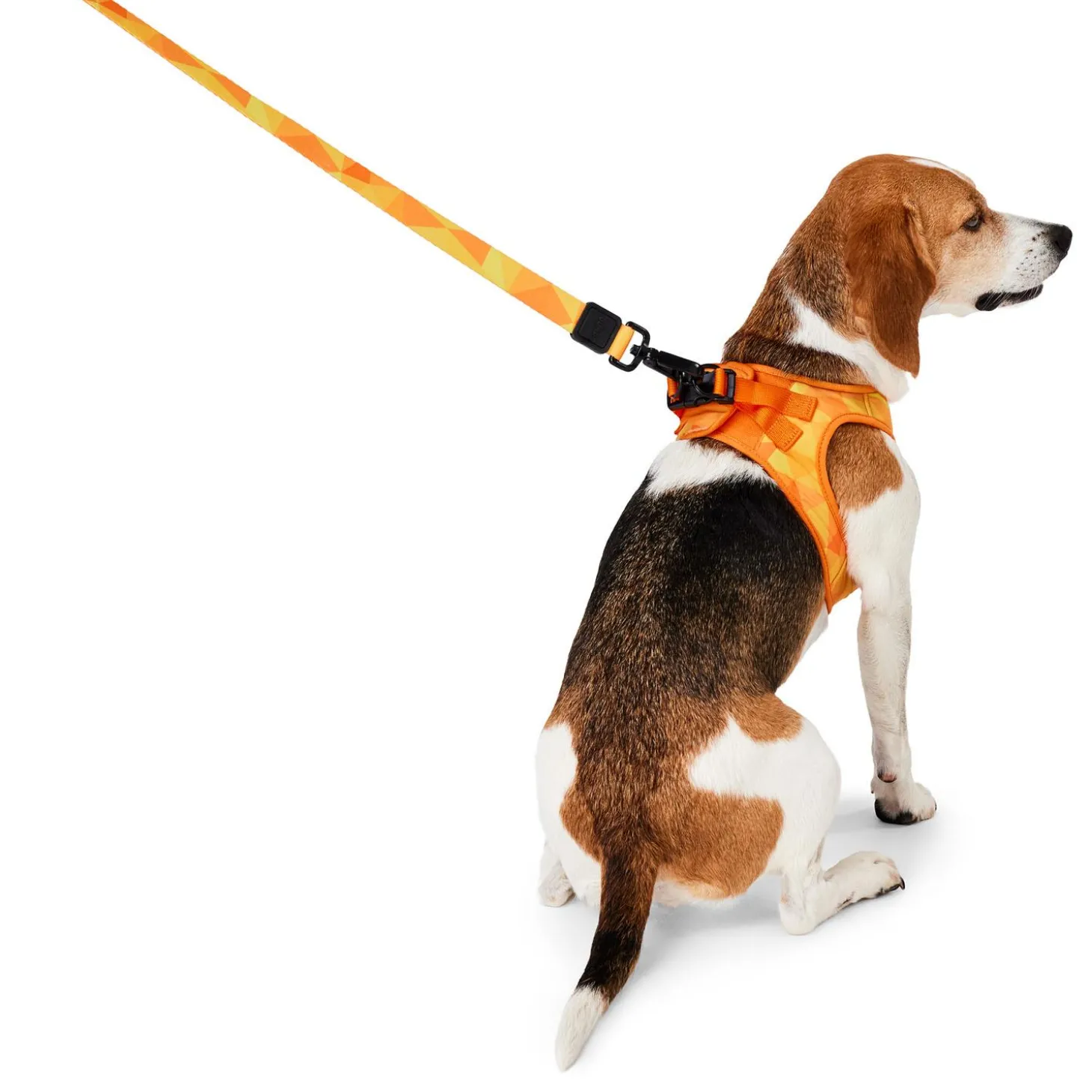 Orange Geometric Dog Leash