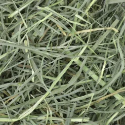 Orchard Grass Hay