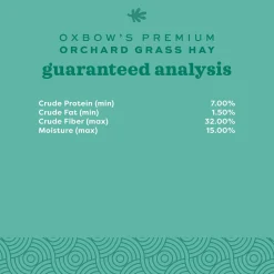 Orchard Grass Hay