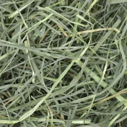 Orchard Grass Hay Bulk