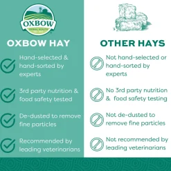 Orchard Grass Hay Bulk