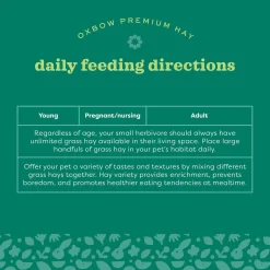 Orchard Grass Hay Bulk