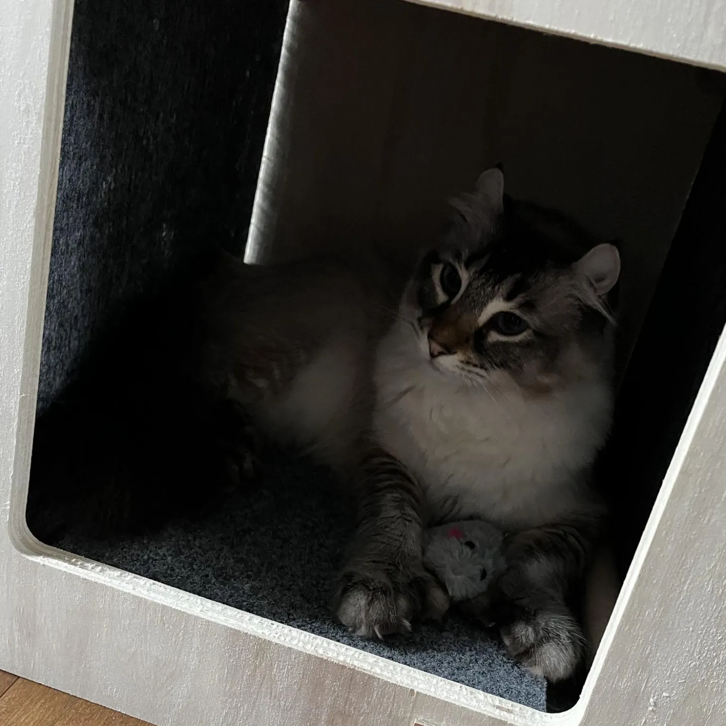 Origin Grey Urban Hut