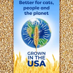 Original Fast-Clumping Cat Litter