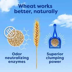 Original Fast-Clumping Cat Litter