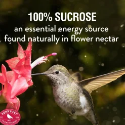 Original Red Instant Hummingbird Nectar Concentrate