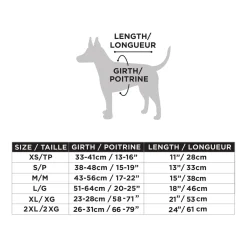 Packable Orange Poncho