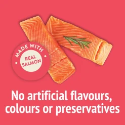 Party Mix Naturals Seaside Crunch Cat Treats