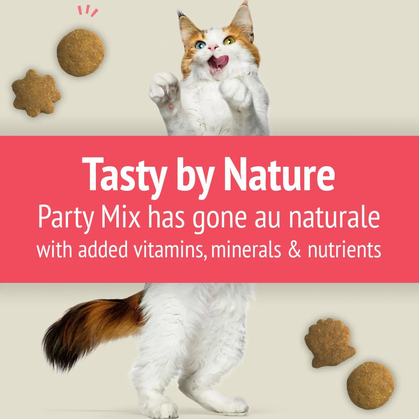 Party Mix Naturals Seaside Crunch Cat Treats