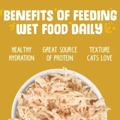 Paw Lickin' Chicken Recipe Adult Cat Food