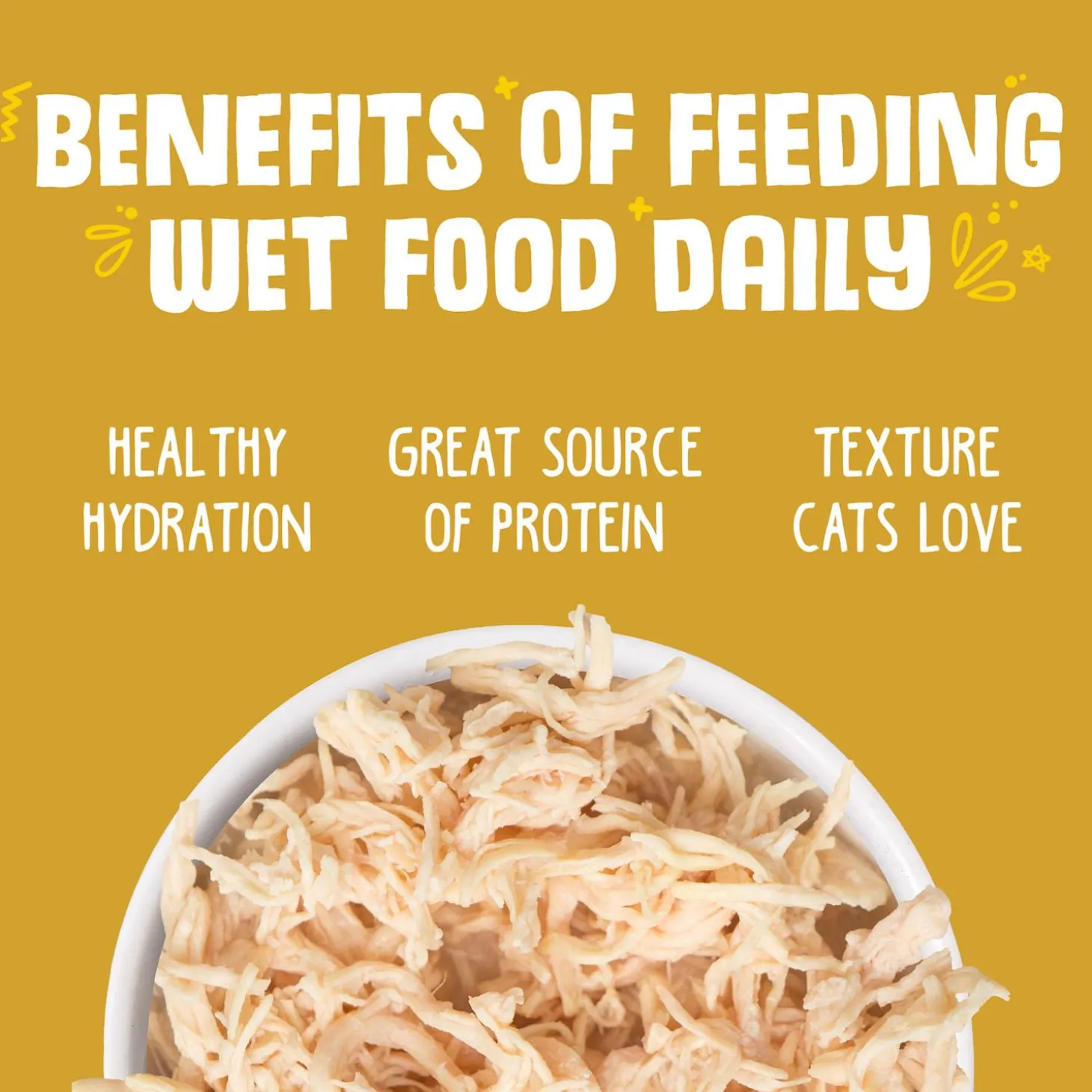 Paw Lickin' Chicken Recipe Adult Cat Food