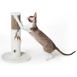 Peek-a-Boo Cat Scratching Post