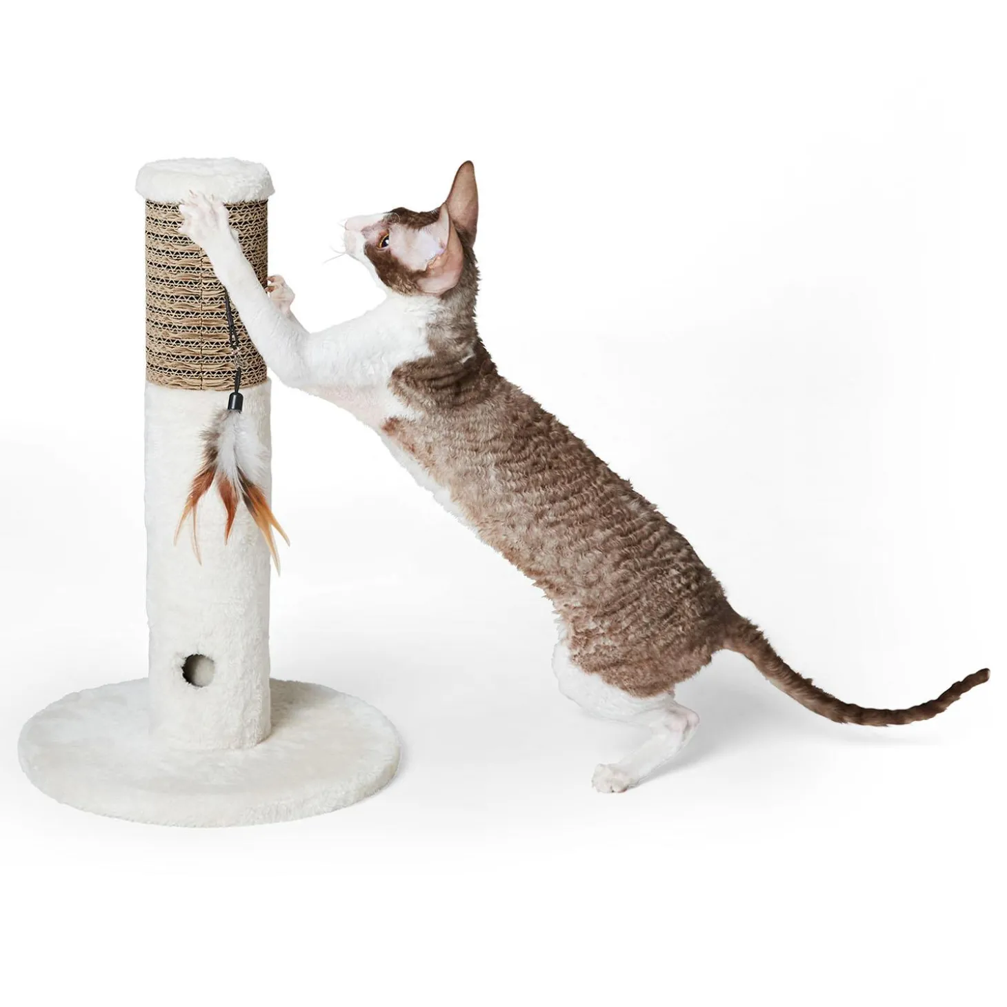 Peek-a-Boo Cat Scratching Post