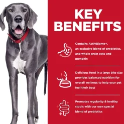 Perfect Digestion Chicken Brown Rice & Whole Oats Recipe Large Breed Adult Dog Food