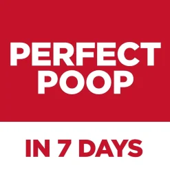 Perfect Digestion Chicken Brown Rice & Whole Oats Recipe Large Breed Adult Dog Food