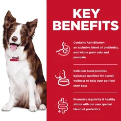 Perfect Digestion Chicken Brown Rice & Whole Oats Recipe Adult Dog Food