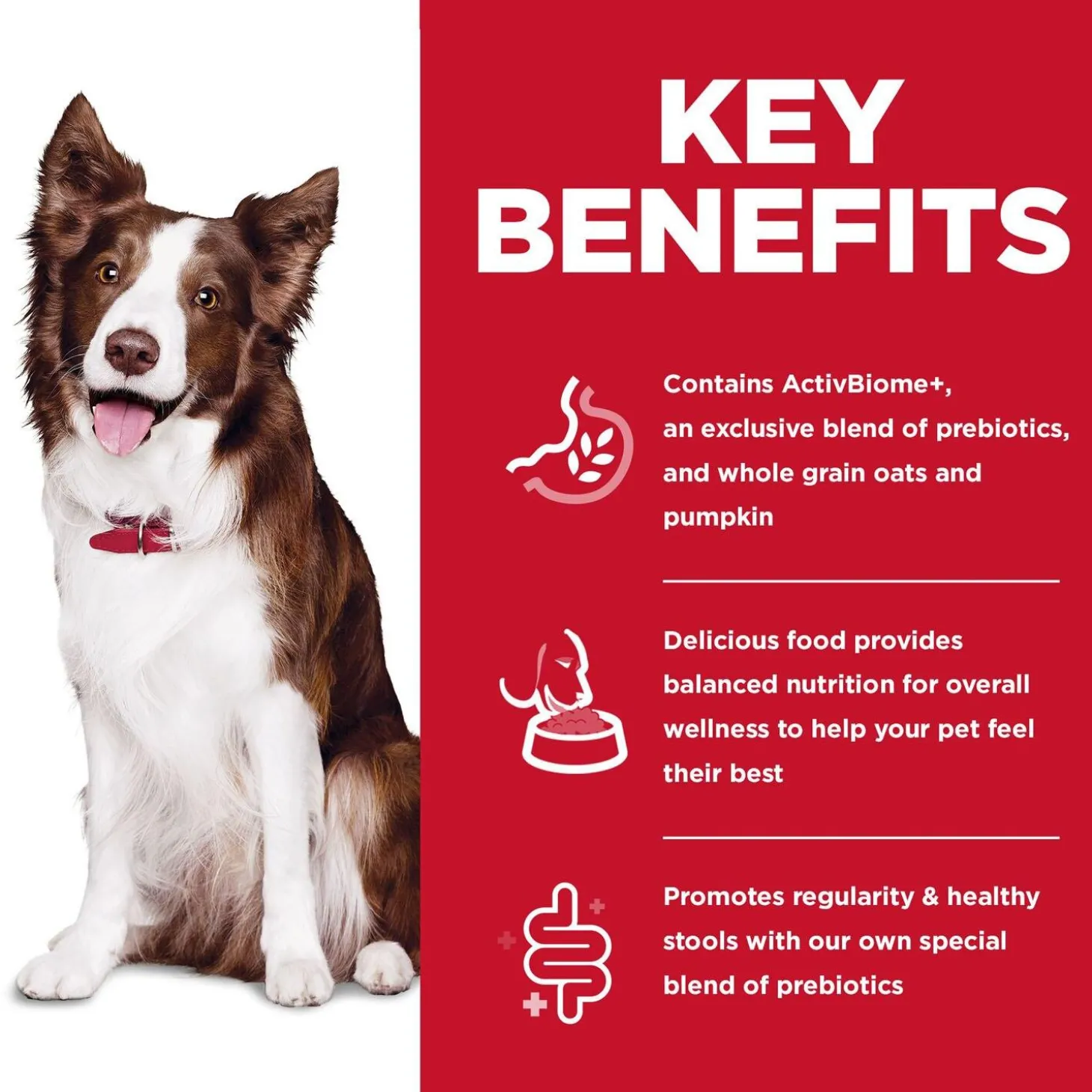 Perfect Digestion Chicken Brown Rice & Whole Oats Recipe Adult Dog Food