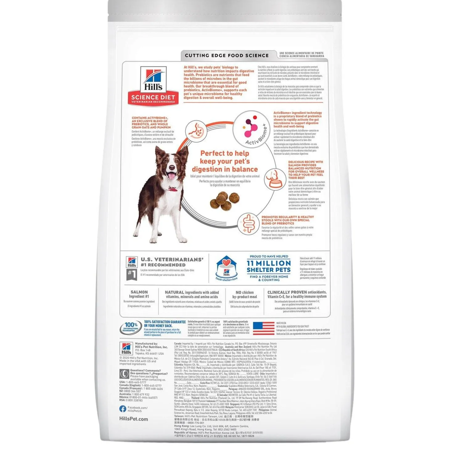 Perfect Digestion Salmon Whole Oats & Brown Rice Recipe Adult Dog Food