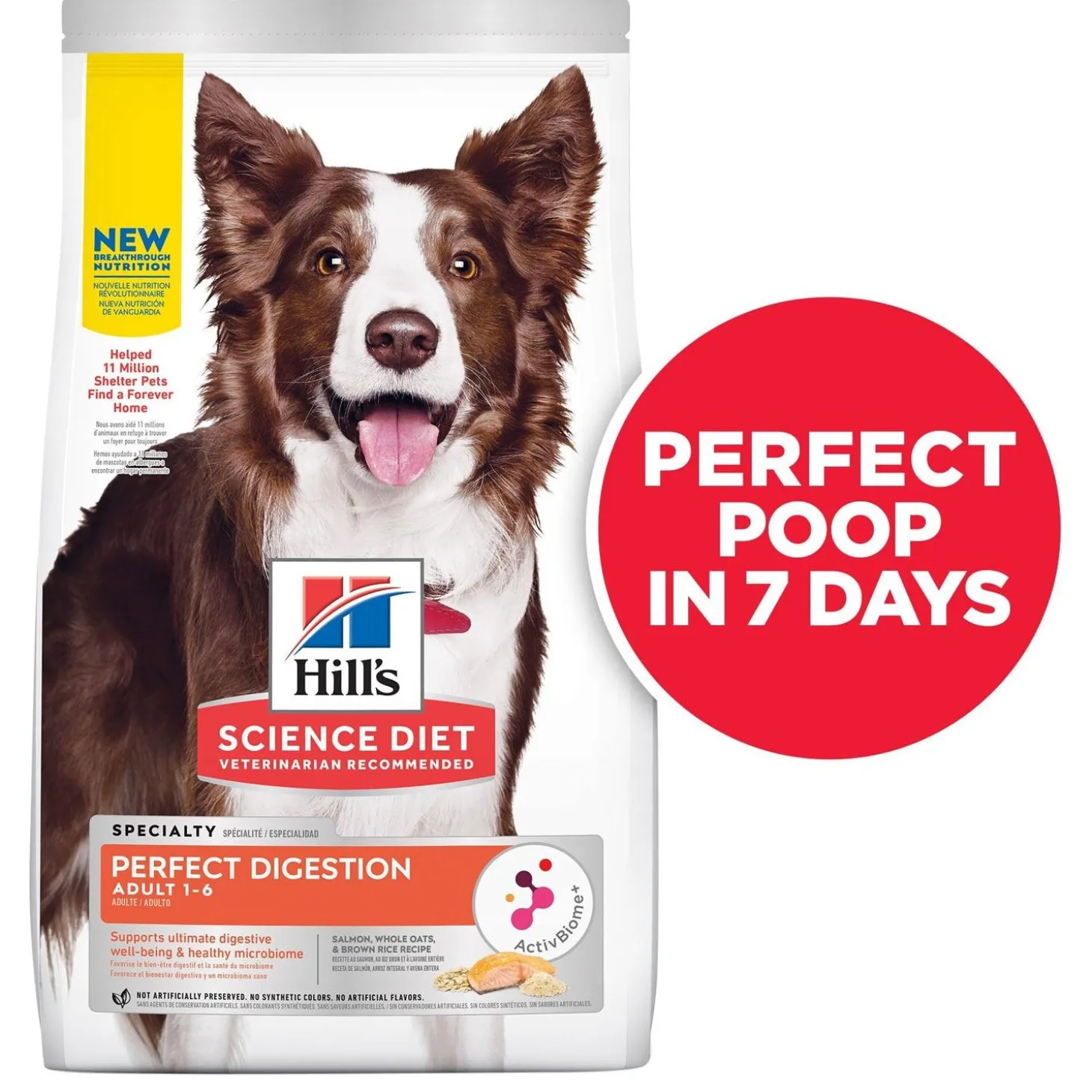 Perfect Digestion Salmon Whole Oats & Brown Rice Recipe Adult Dog Food