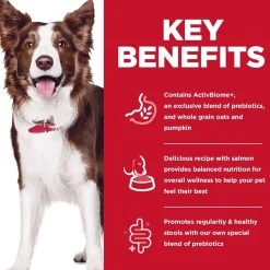 Perfect Digestion Salmon Whole Oats & Brown Rice Recipe Adult Dog Food