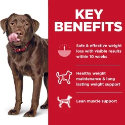 Perfect Weight Chicken Recipe Large Breed Adult Dog Food