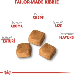 Persian Kitten Cat Food