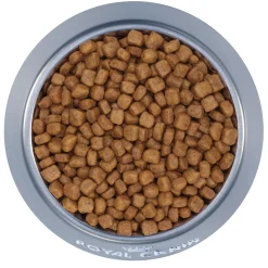 Persian Kitten Cat Food