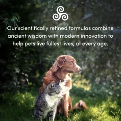 Pet Recovery Extra Strength Advanced Mobility Formula Powder Pet Supplement