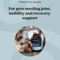 Pet Recovery Extra Strength Advanced Mobility Formula Beef Liver Flavoured Pet Supplements