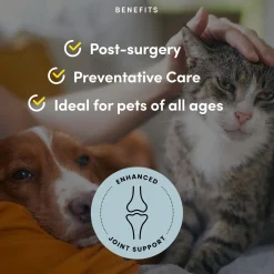 Pet Recovery Extra Strength Advanced Mobility Formula Beef Liver Flavoured Pet Supplements