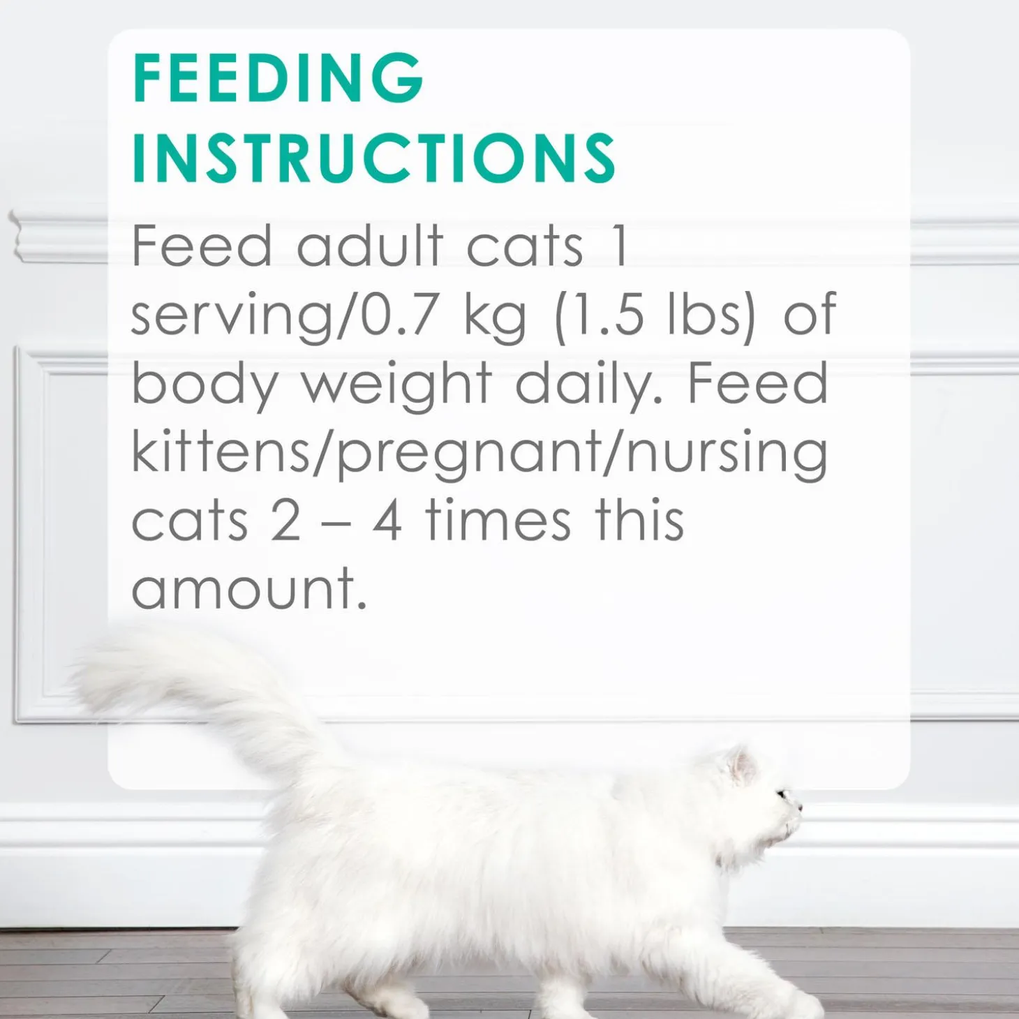 Petites Ocean Whitefish & Tuna Entree Pate Adult Cat Food