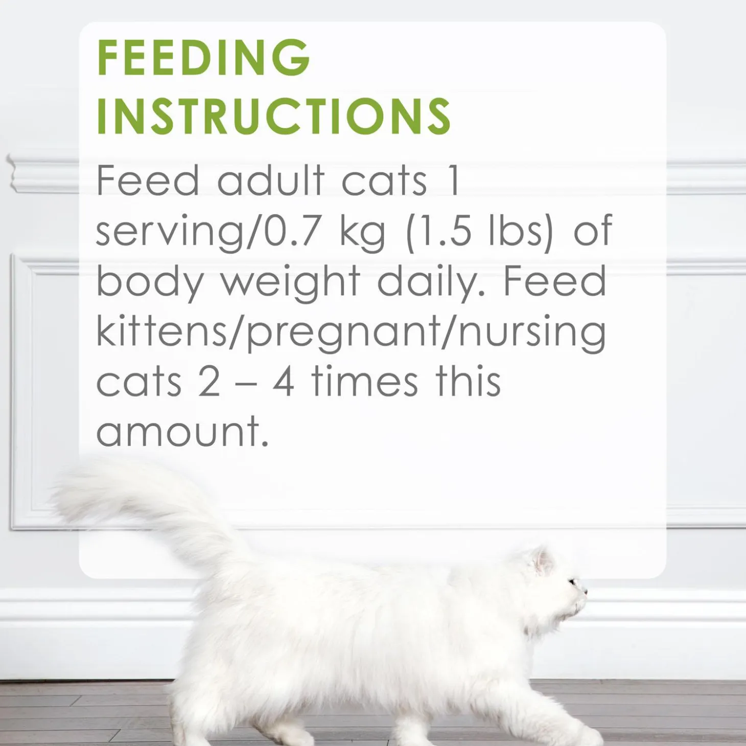 Petites Pate Braised Chicken Entree Pate Adult Cat Food