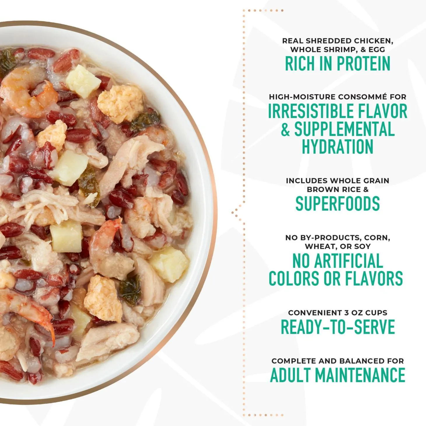 Petites Whole Foods Chicken Recipe in Lobster Consomme Adult Dog Food