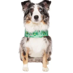 Pick Me Froggy Poncho