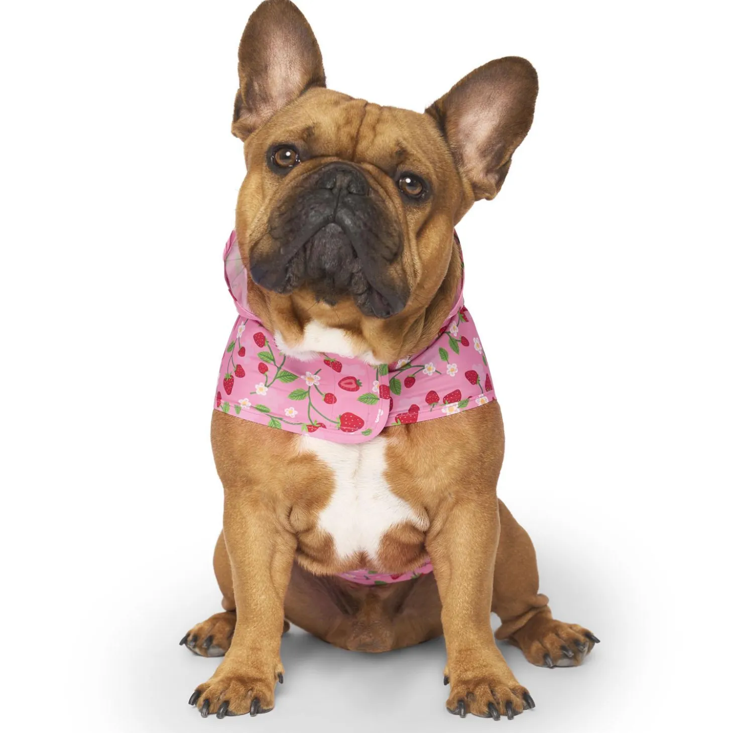 Pick Me Strawberries Poncho