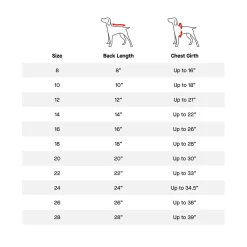 Pick Me Strawberries Poncho