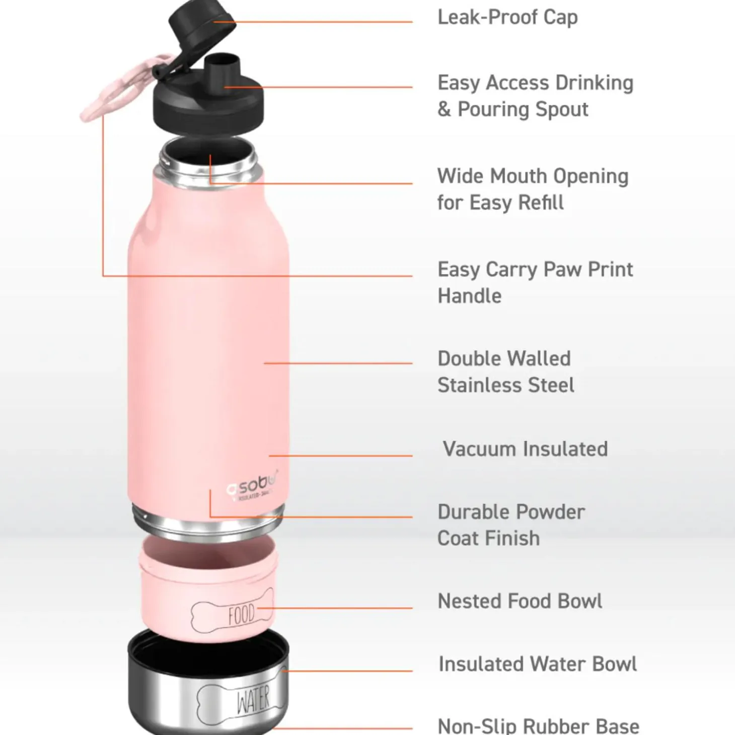 Pink Buddy Bottle