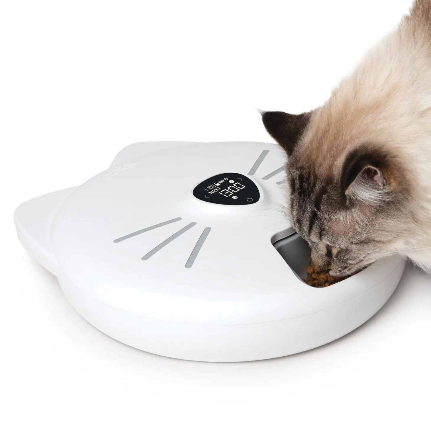 PIXI Smart 6-Meal Feeder